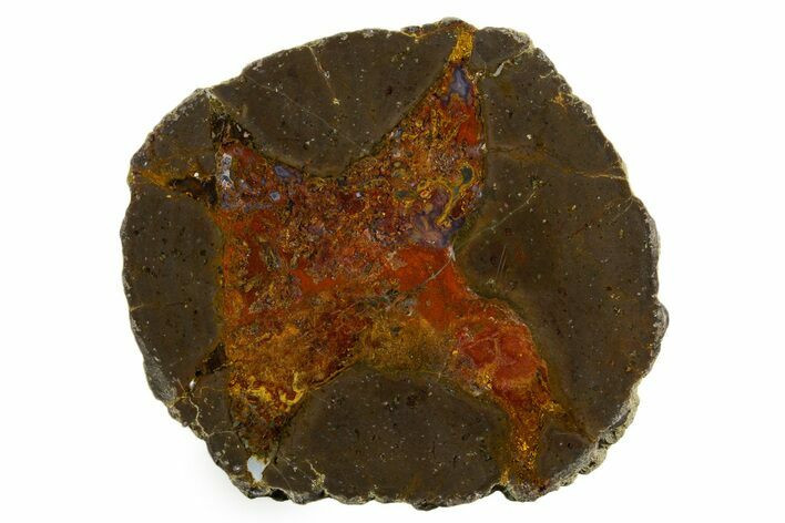 Colorful Polished Thunderegg Half - Nevada #337829